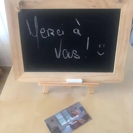 Apartment De Charme Pour Sejour Tranquille A Deux Meyzieu