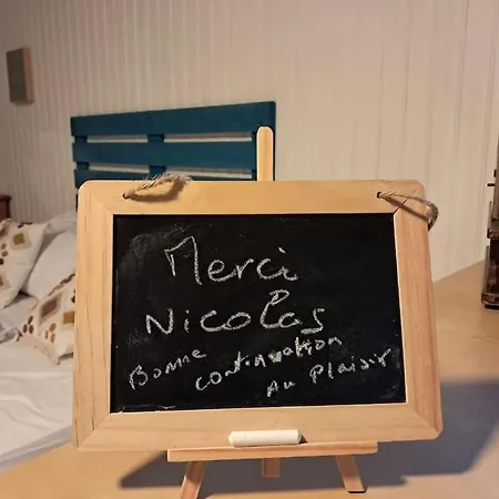 Apartment De Charme Pour Sejour Tranquille A Deux Meyzieu