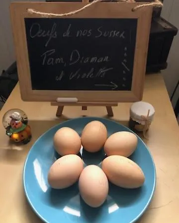 De Charme Pour Sejour Tranquille A Deux Meyzieu